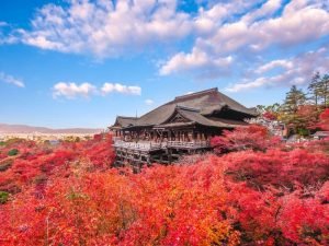 Circuito a Japón al completo