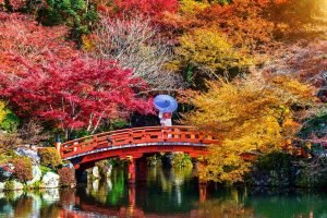 circuito por japon