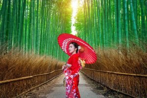 vacaciones a Japón