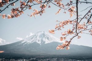 viaje a Japón 15 días