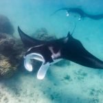 Viaje a Bali con Nusa Penida