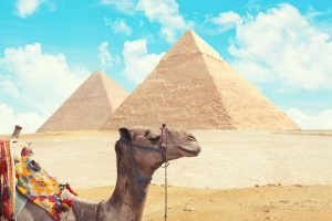 Circuito a Egipto