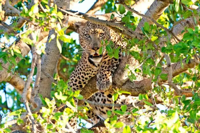 Viaje a Tanzania y Zanzibar