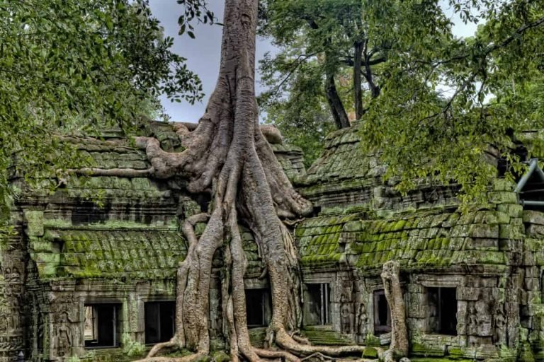 viaje a tailandia y camboya
