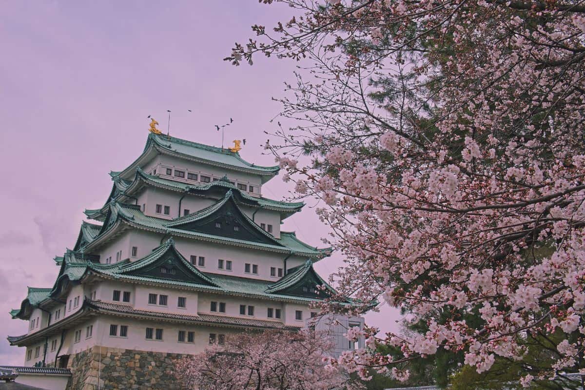 mejor agencia para viajar a japón